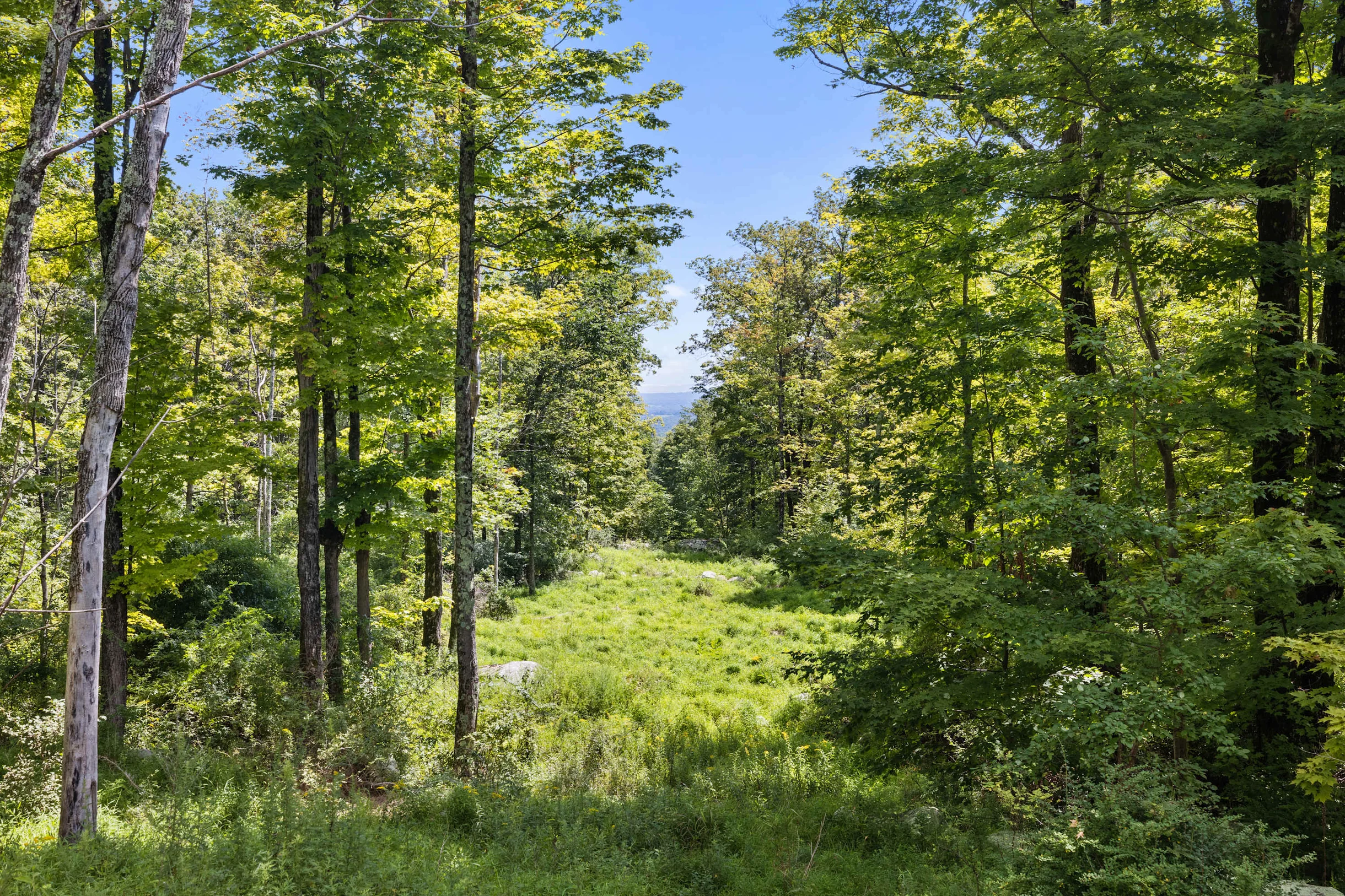 Wander Catskills Retreat #86