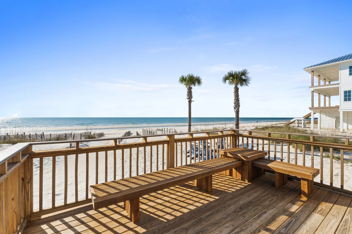 4 Palms #62