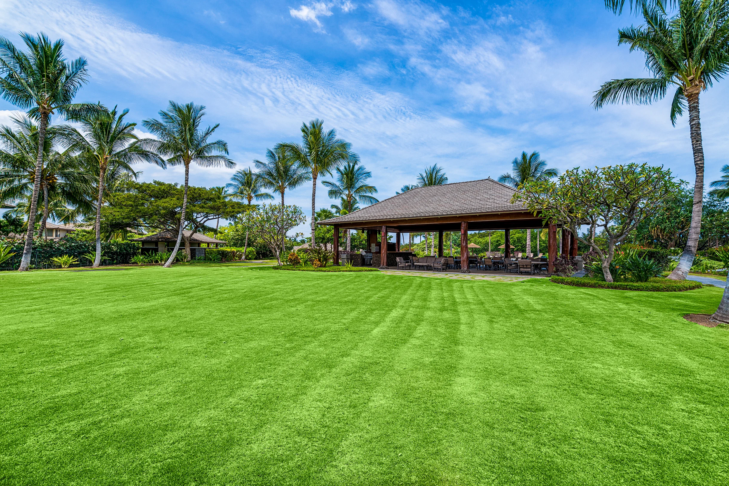 Mauna Lani KaMilo #217 #65