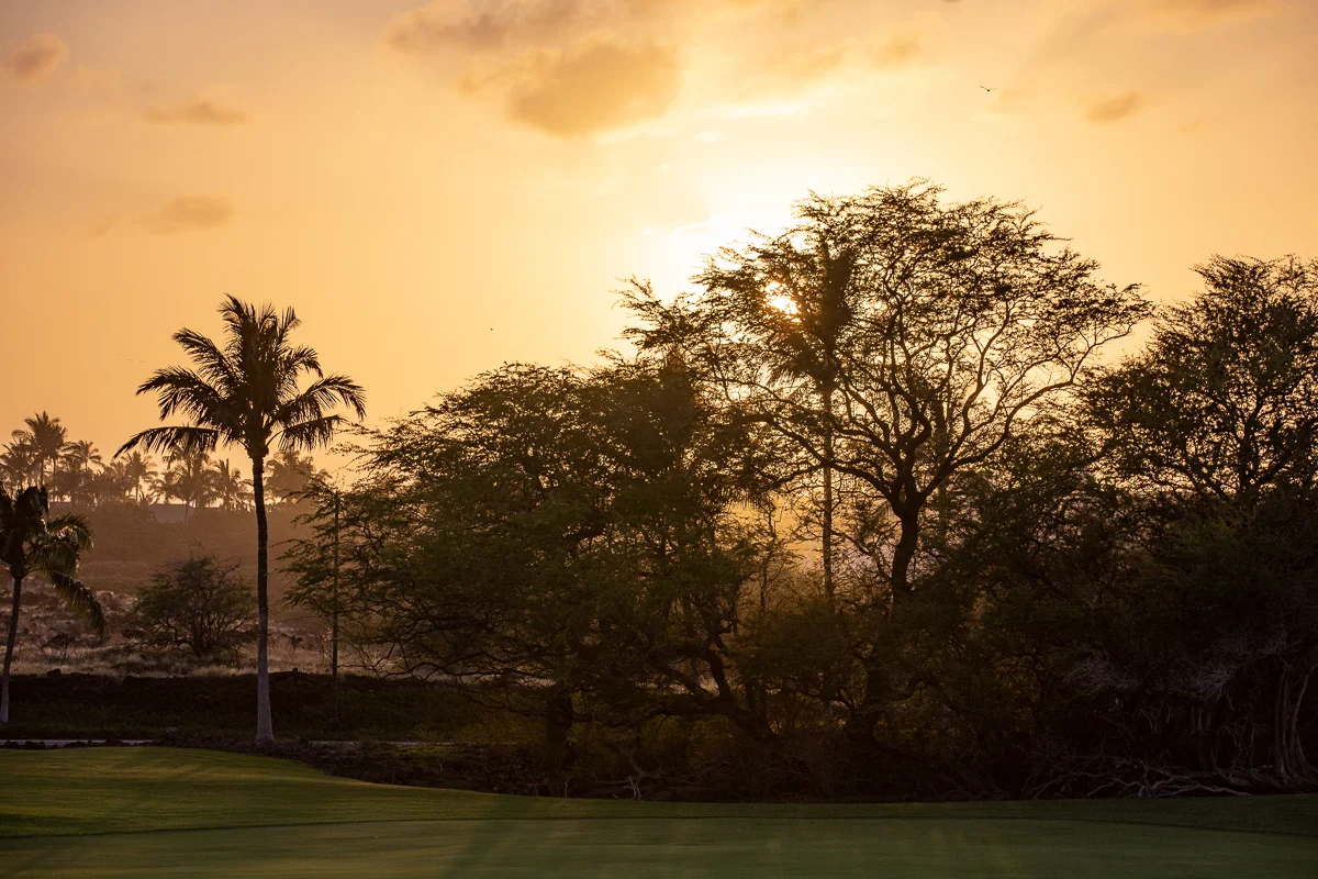 Mauna Lani KaMilo #217 #70