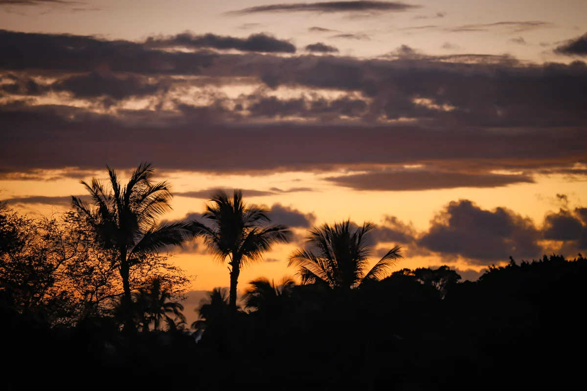 Mauna Lani KaMilo #217 #78