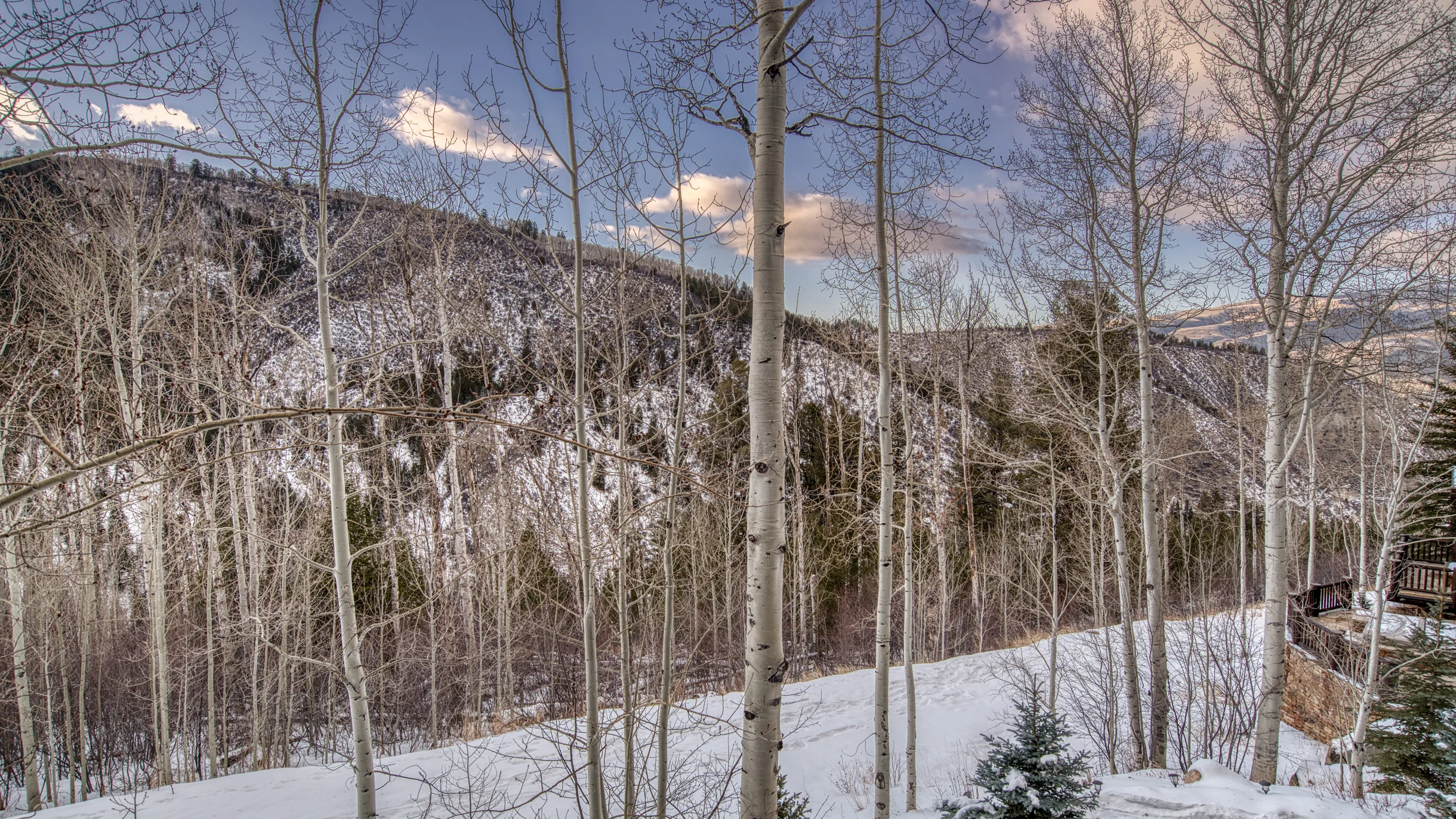 Bearberry Lodge #53
