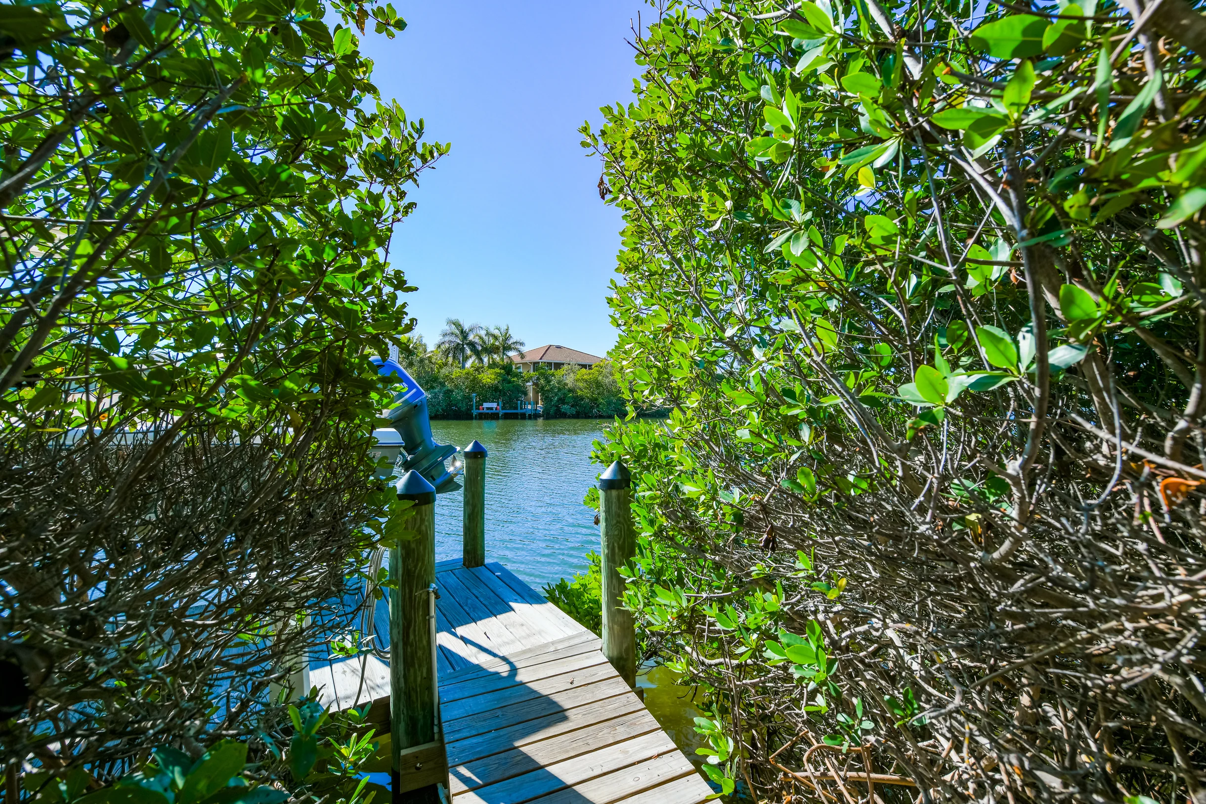 Pelican's Nest #77