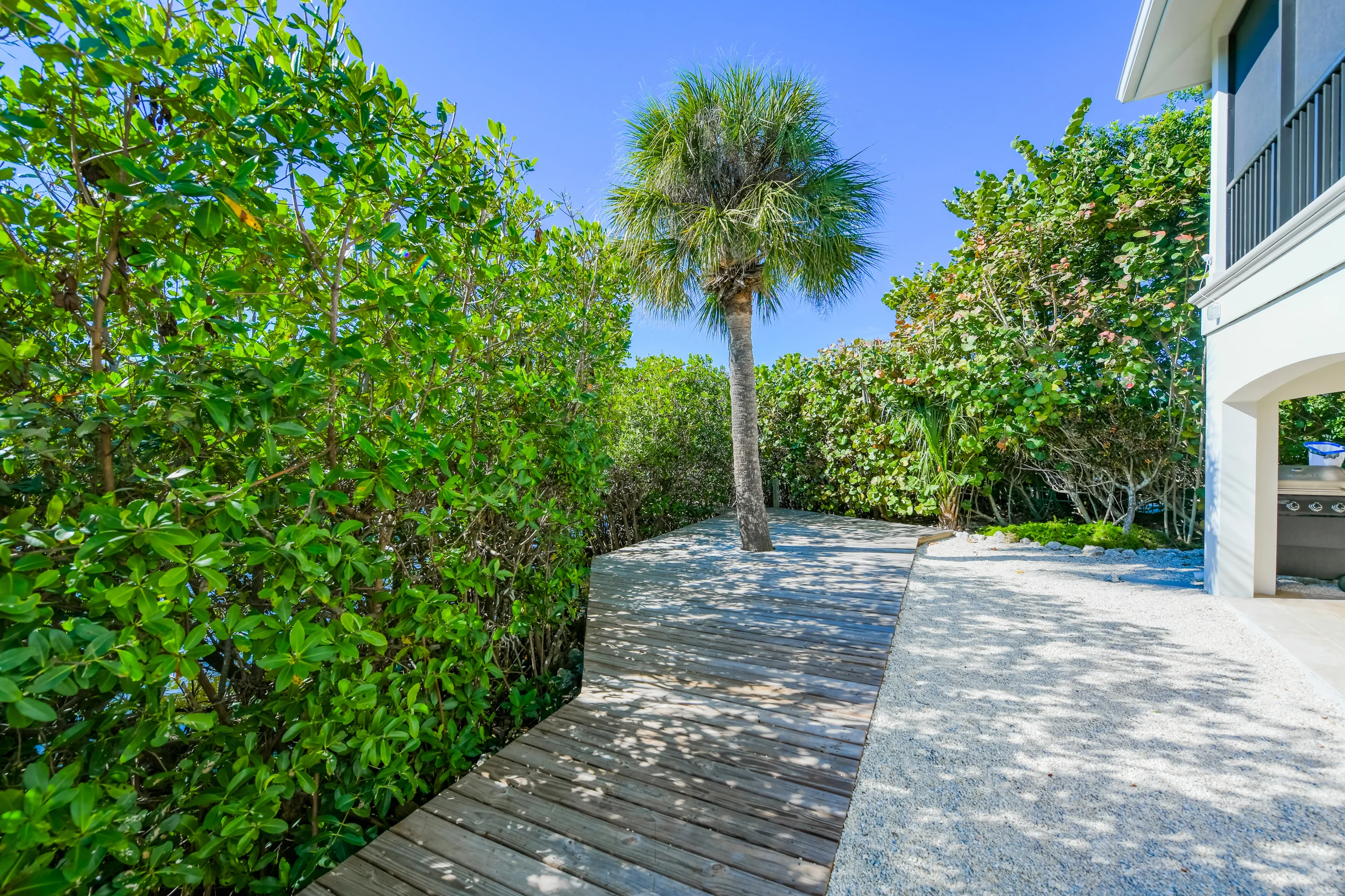 Pelican's Nest #83