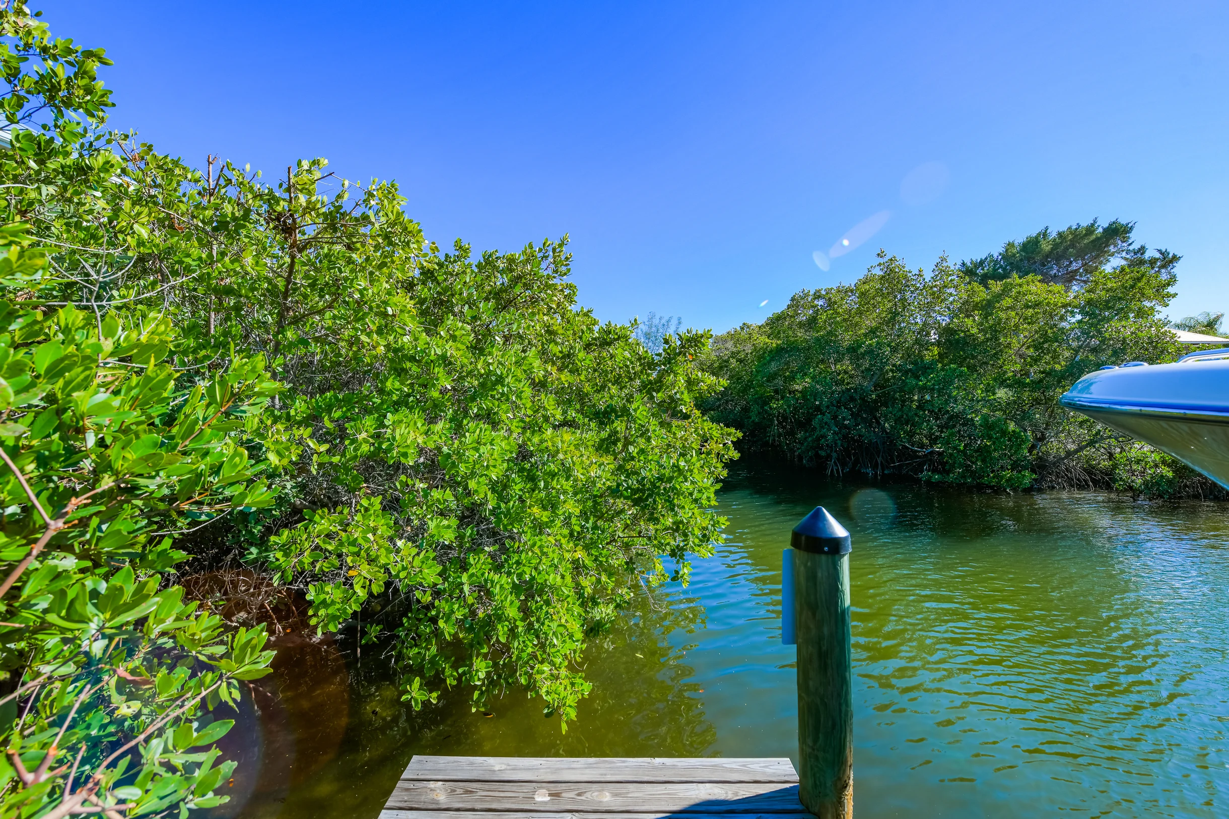 Pelican's Nest #90