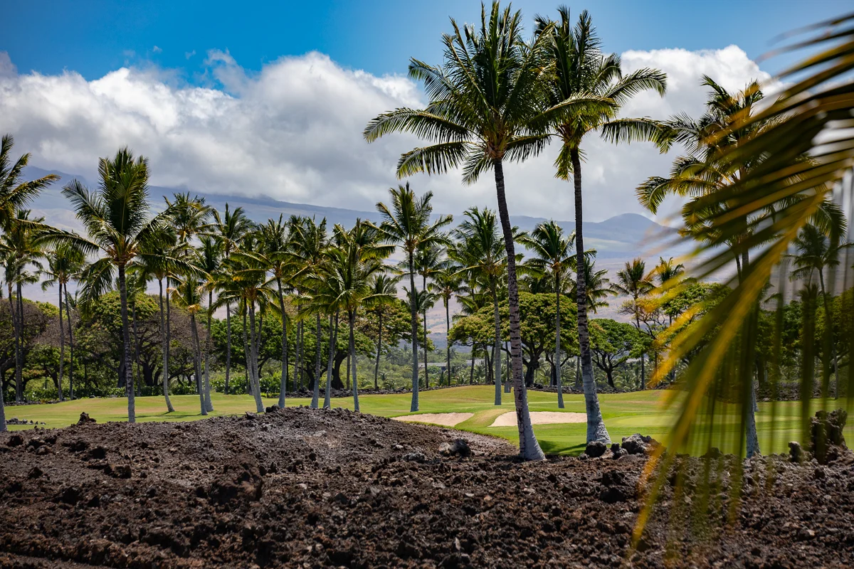 Laule'a at the Mauna Lani Resort #11 #60