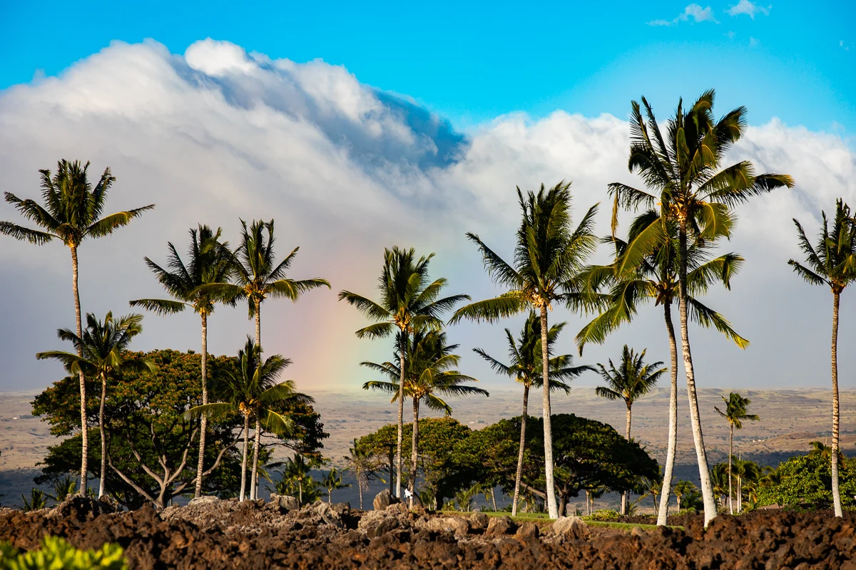 Laule'a at the Mauna Lani Resort #11 #53