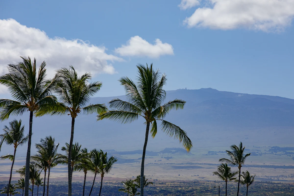 Laule'a at the Mauna Lani Resort #11 #101
