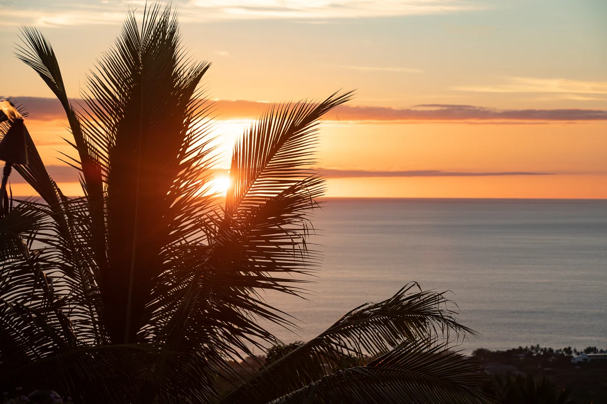 Hale La'i #42