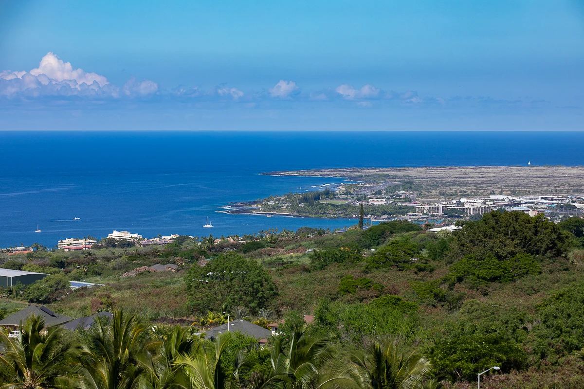 Hale La'i #46