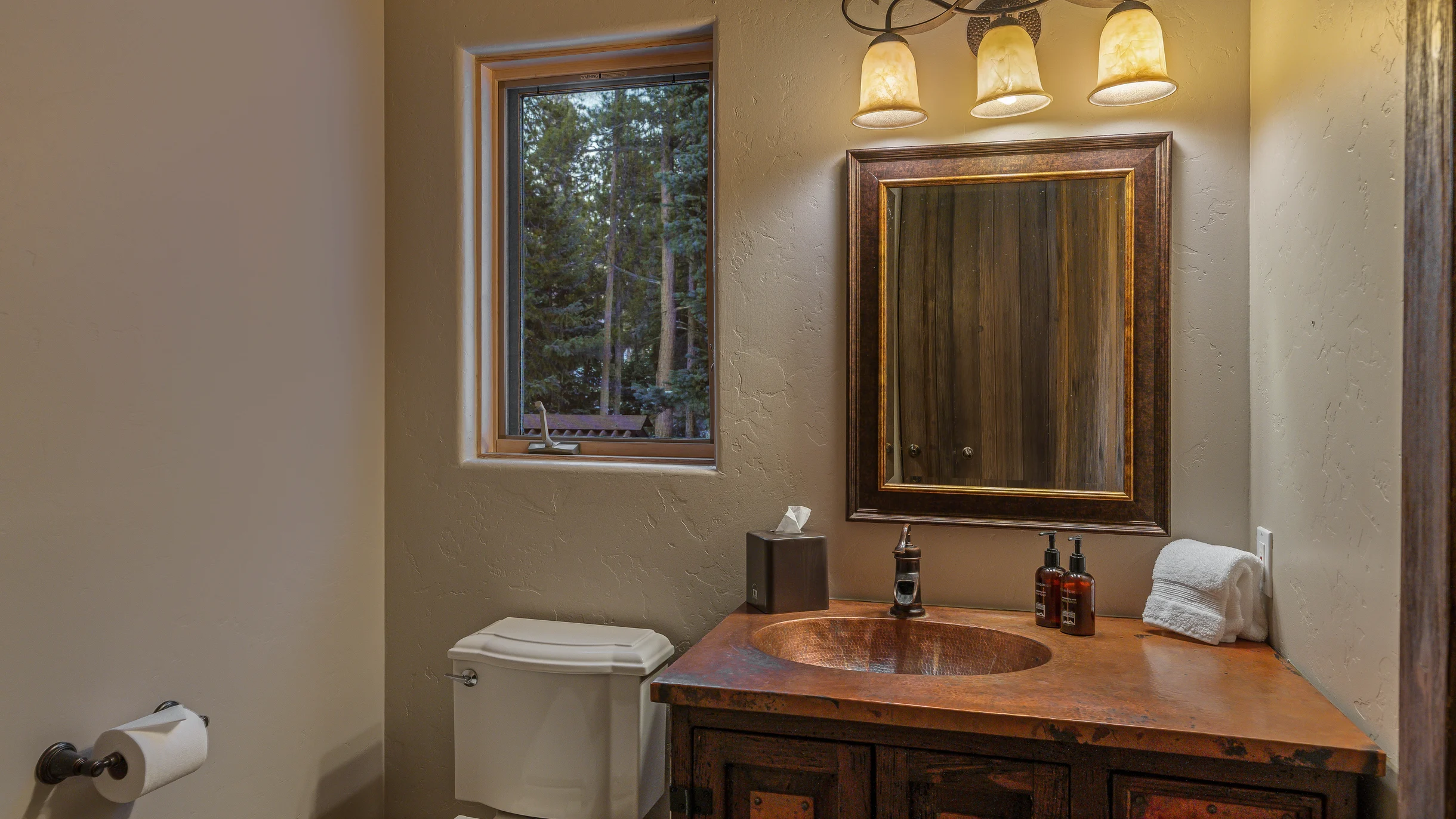 Alpenglow Peaks Lodge #71