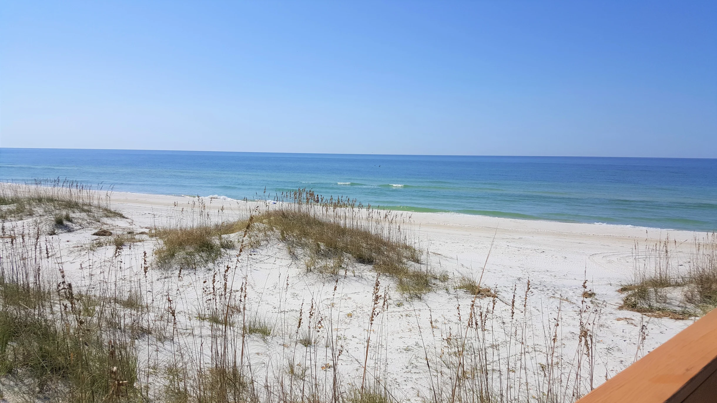 Shore Perfection #105
