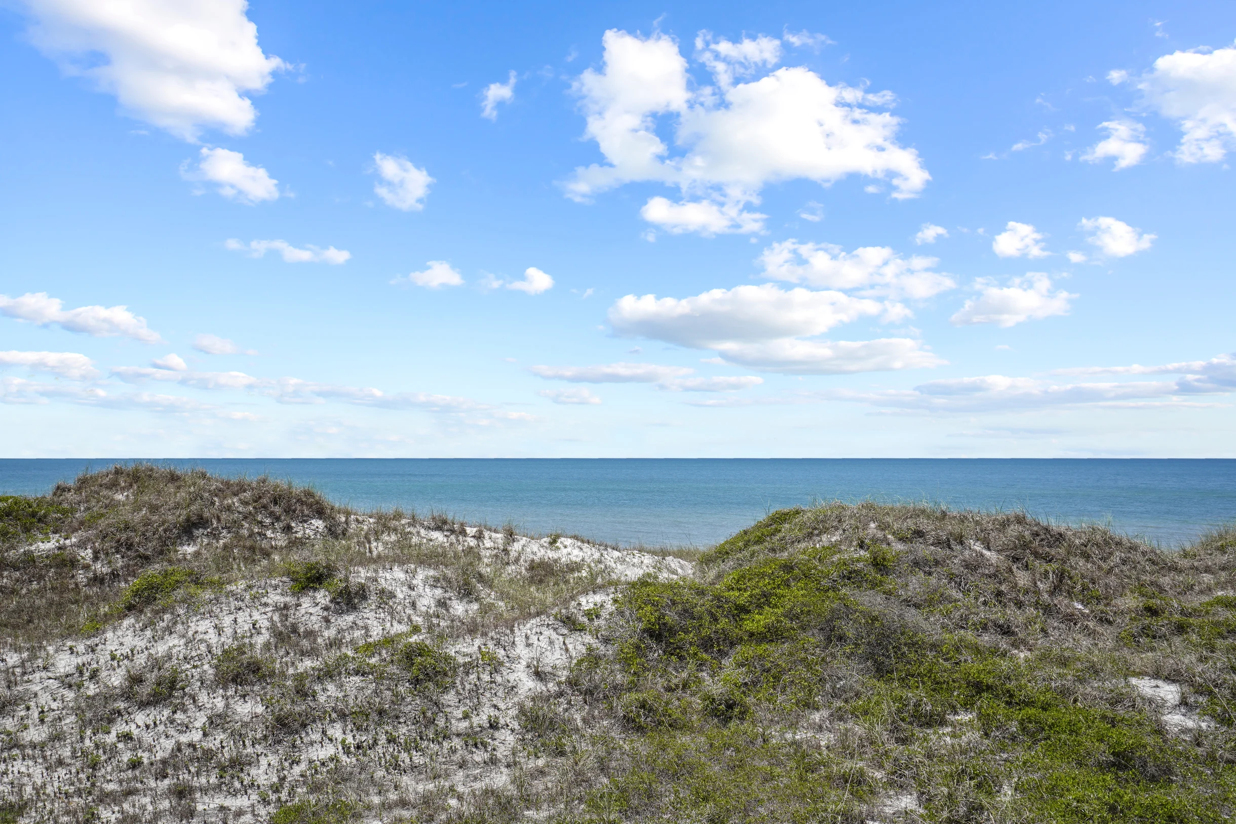 Shore Perfection #177