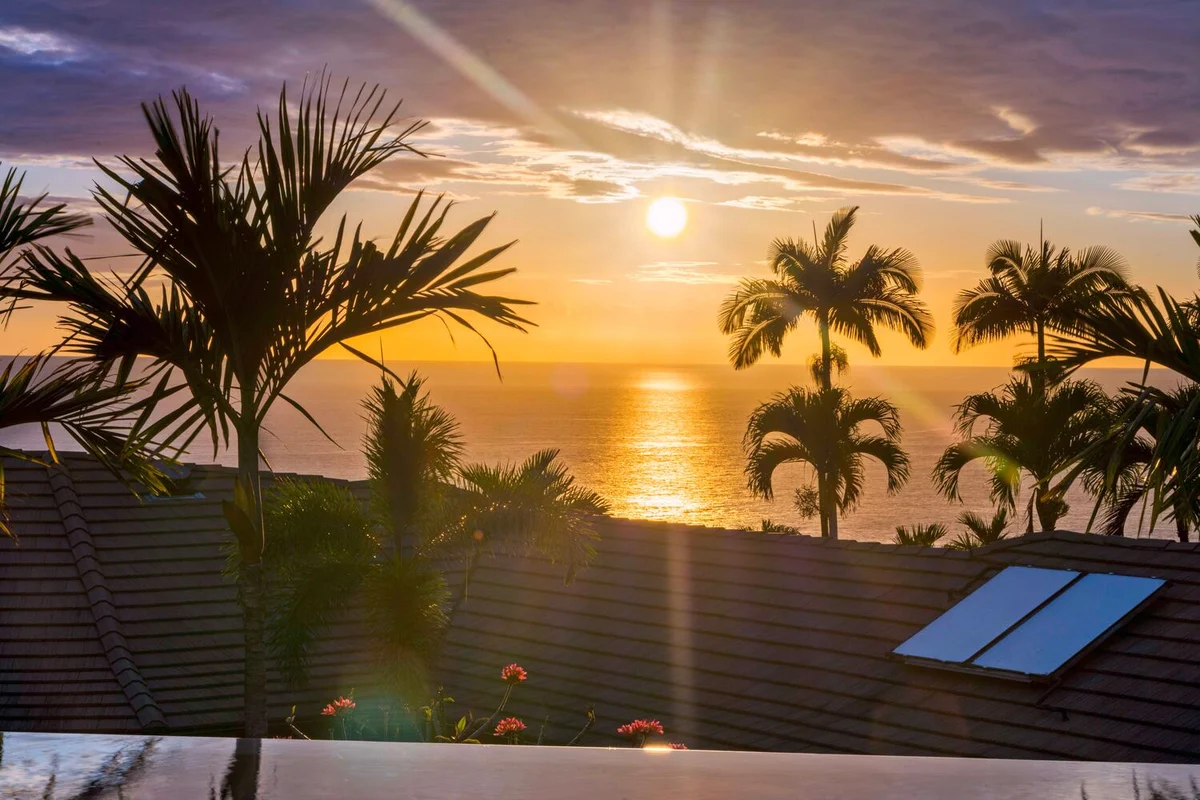 Blue Hawaii #103
