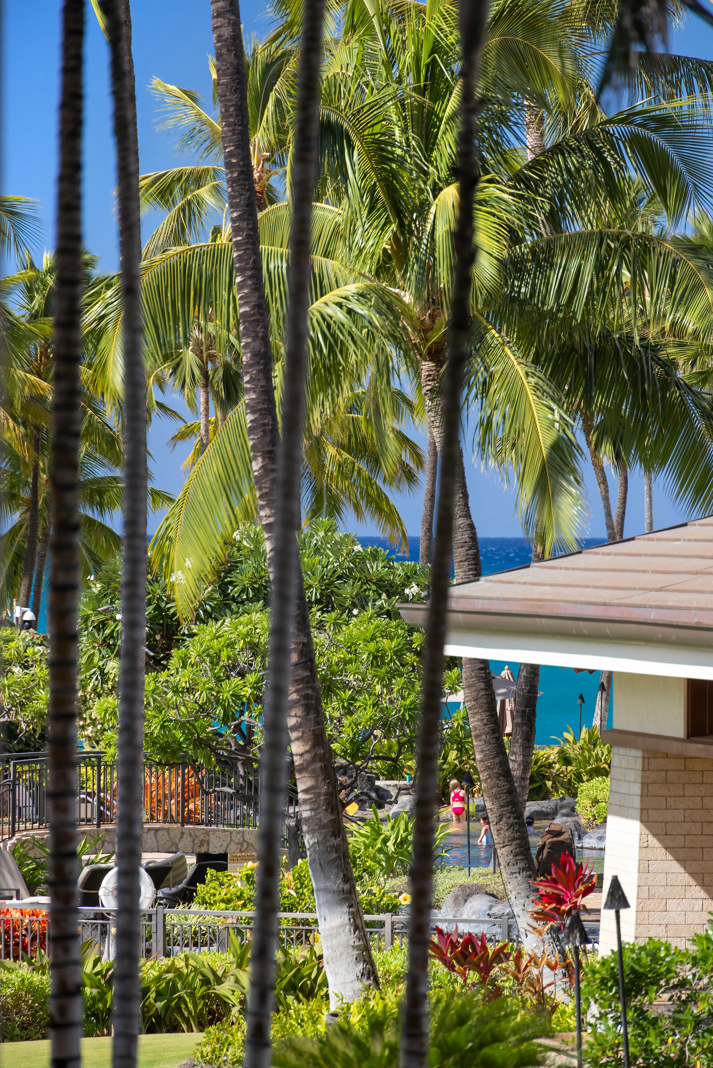 Ko Olina Beach Villas O224 #89