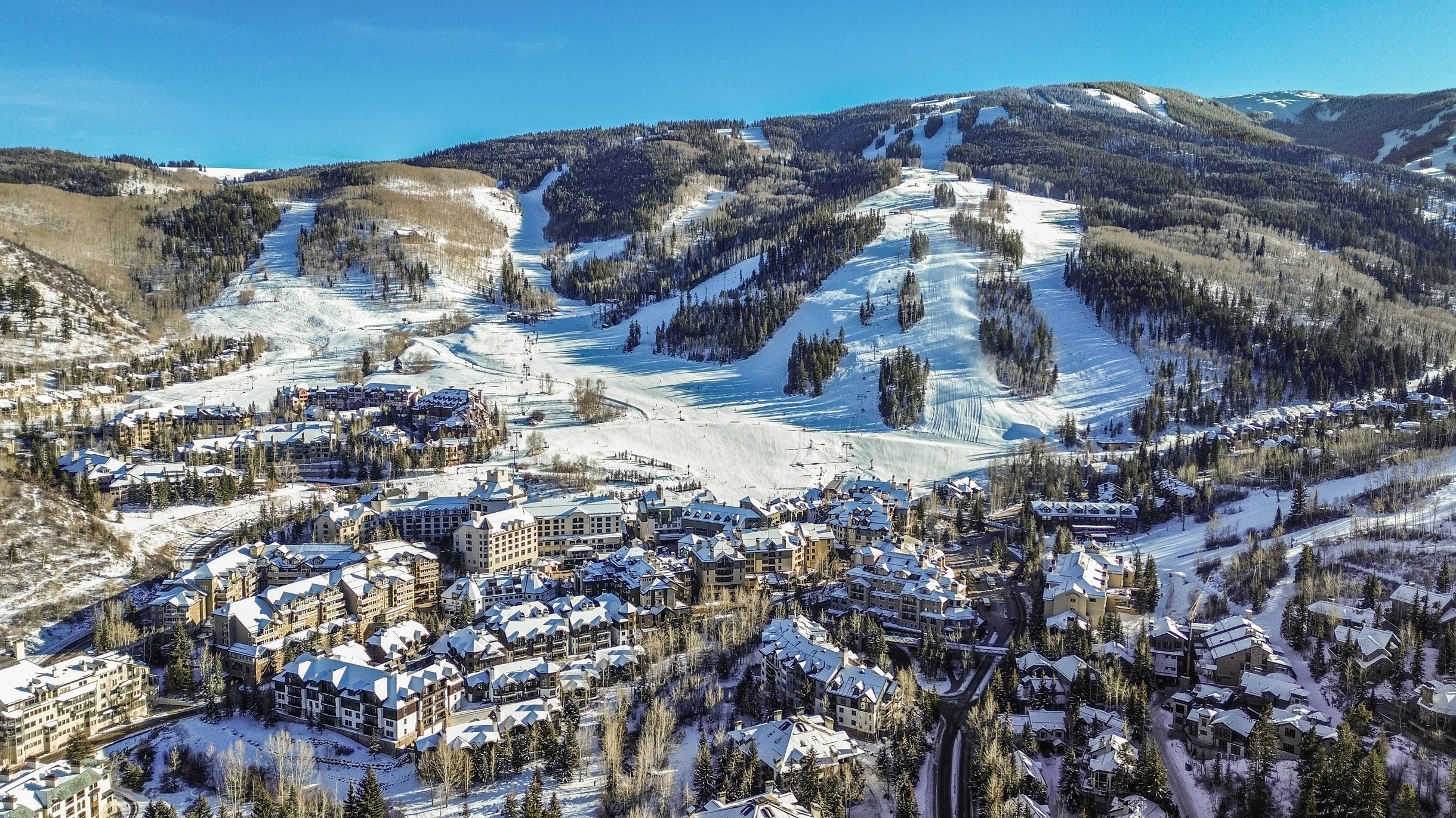 Chalet Brio #51