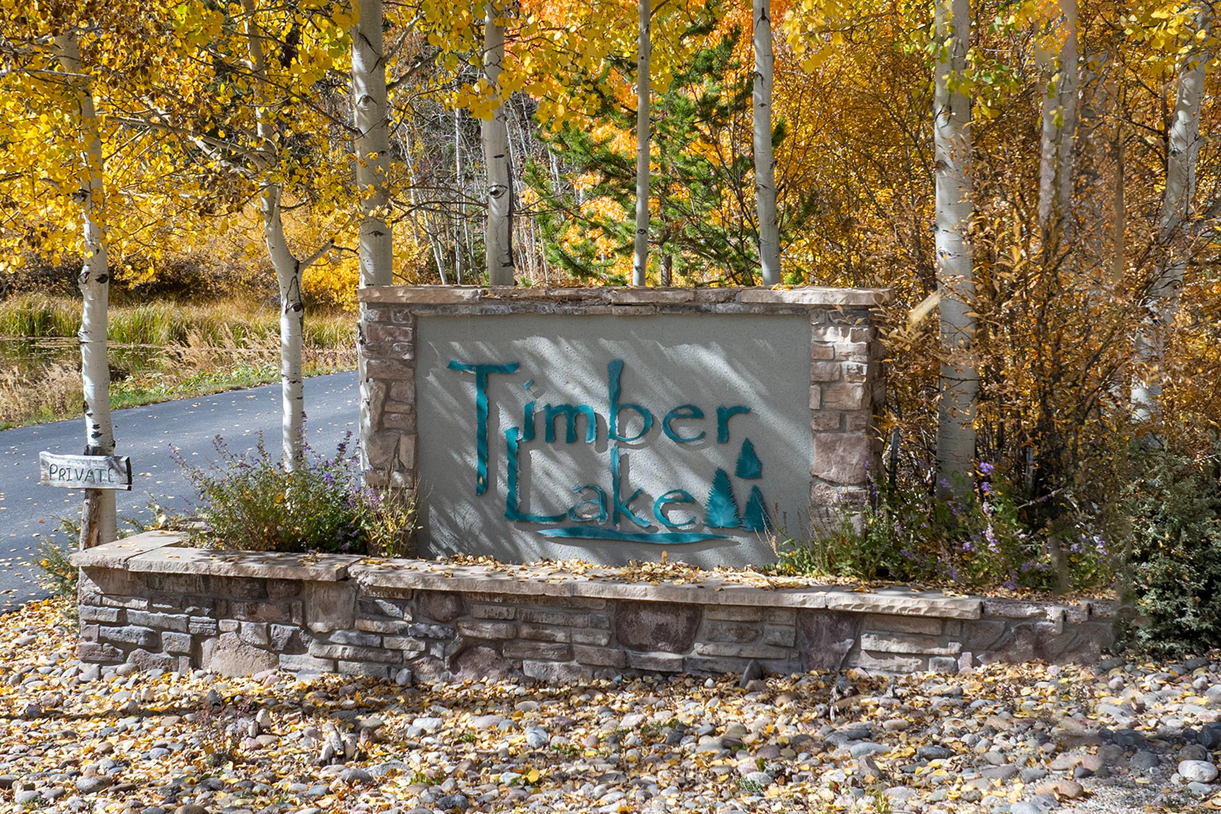 Timber Lake 341 #48