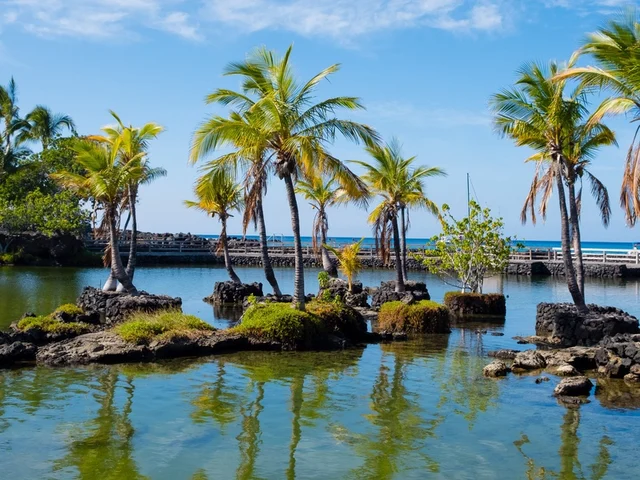 House of the Turtle at Champion Ridge, Mauna Lani (CR 18) #51