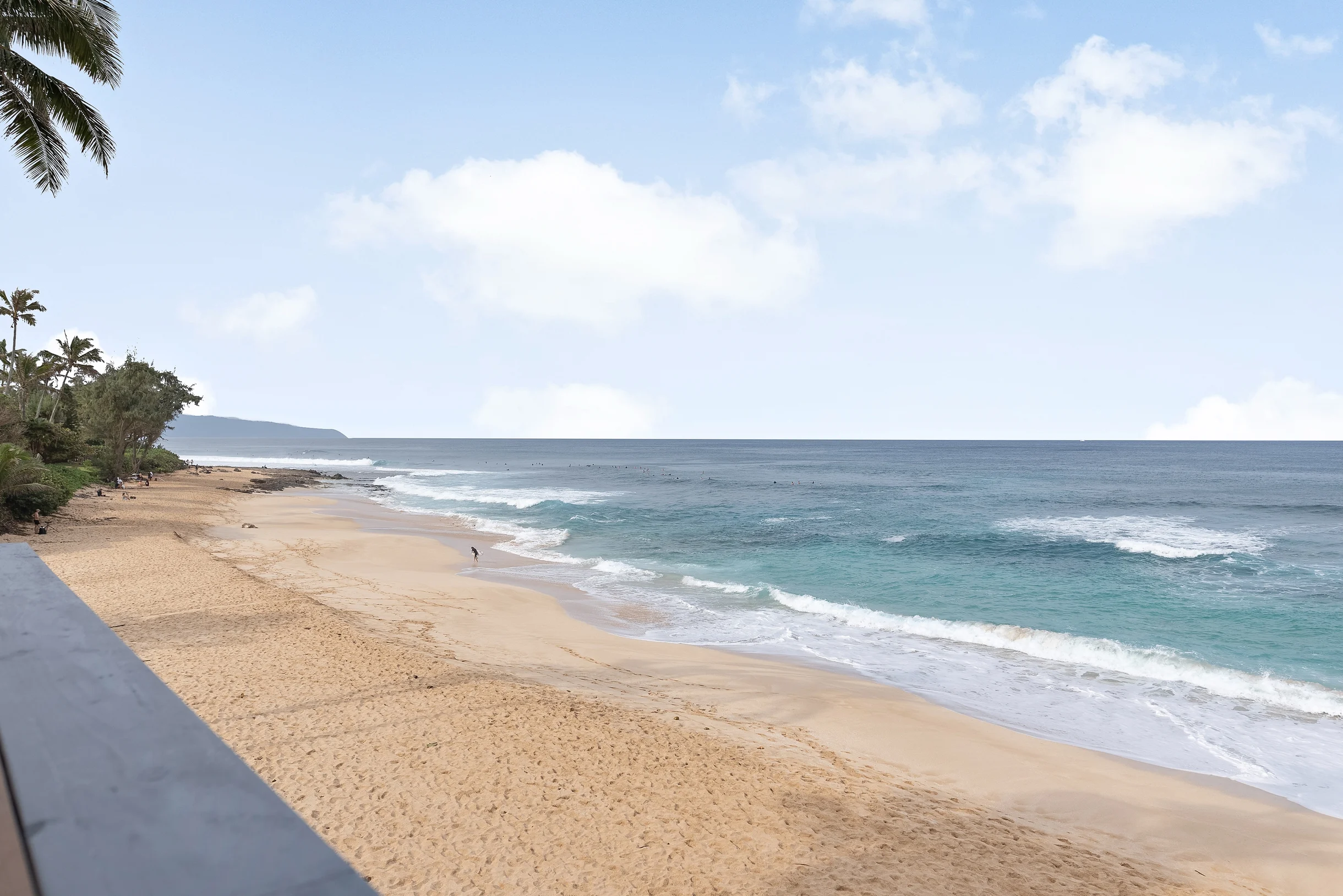 Surfer's Paradise #50