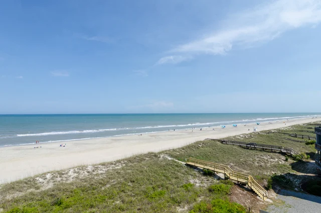 C066 - Carolina Surf #60