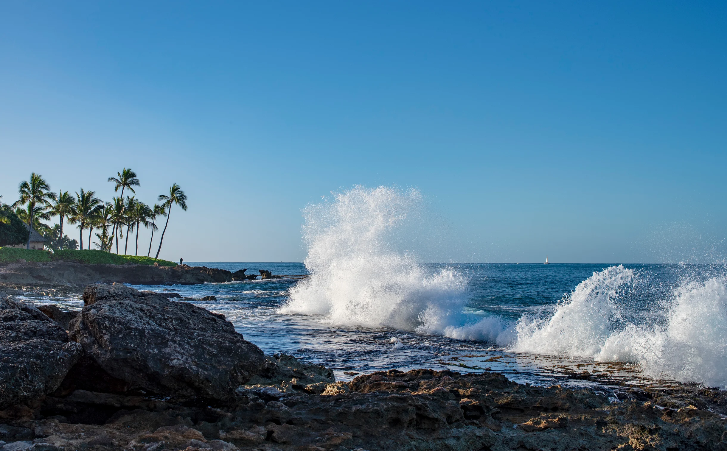 Ko Olina Beach Villas B103 #64
