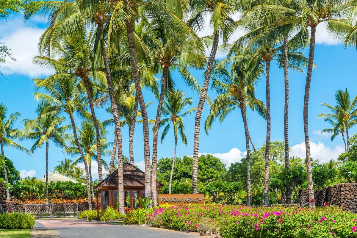 3BD Na Hale 3 at Pauoa Beach Club at Mauna Lani Resort #64