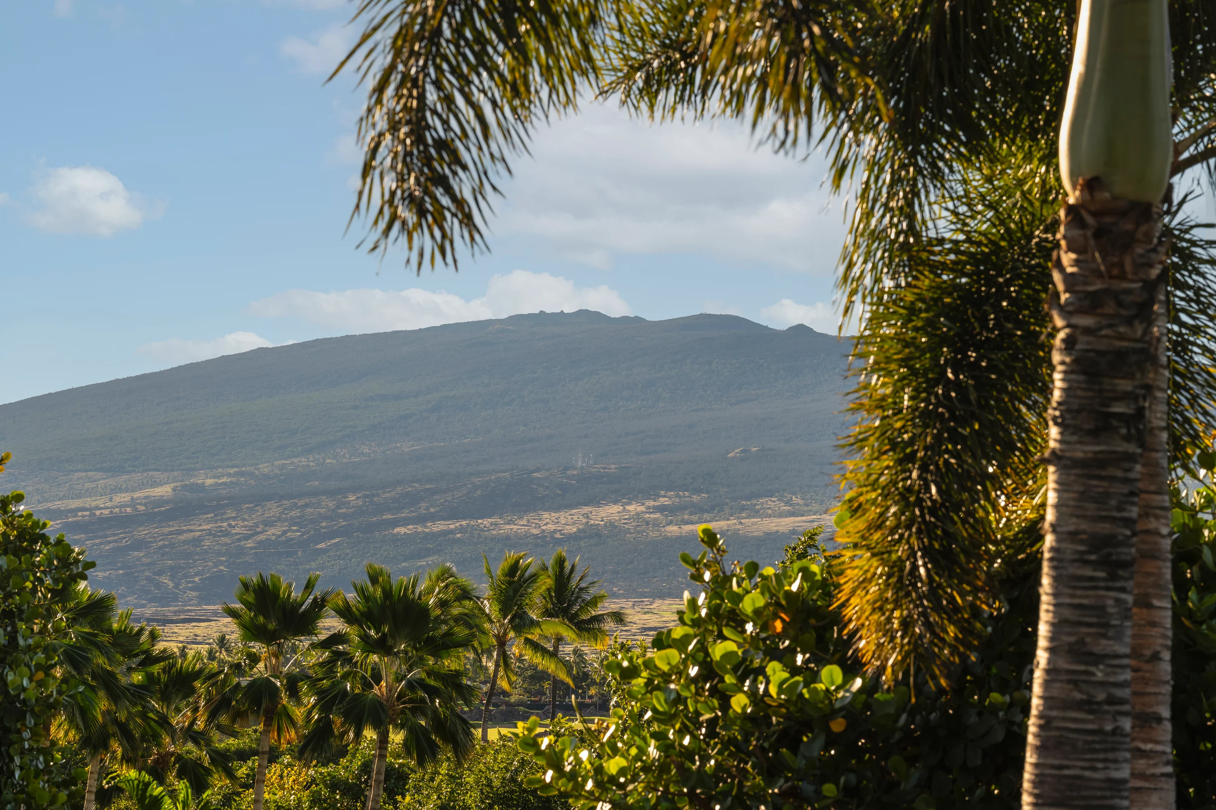 3BD Palm Villa (130B) at Hualalai Resort #48