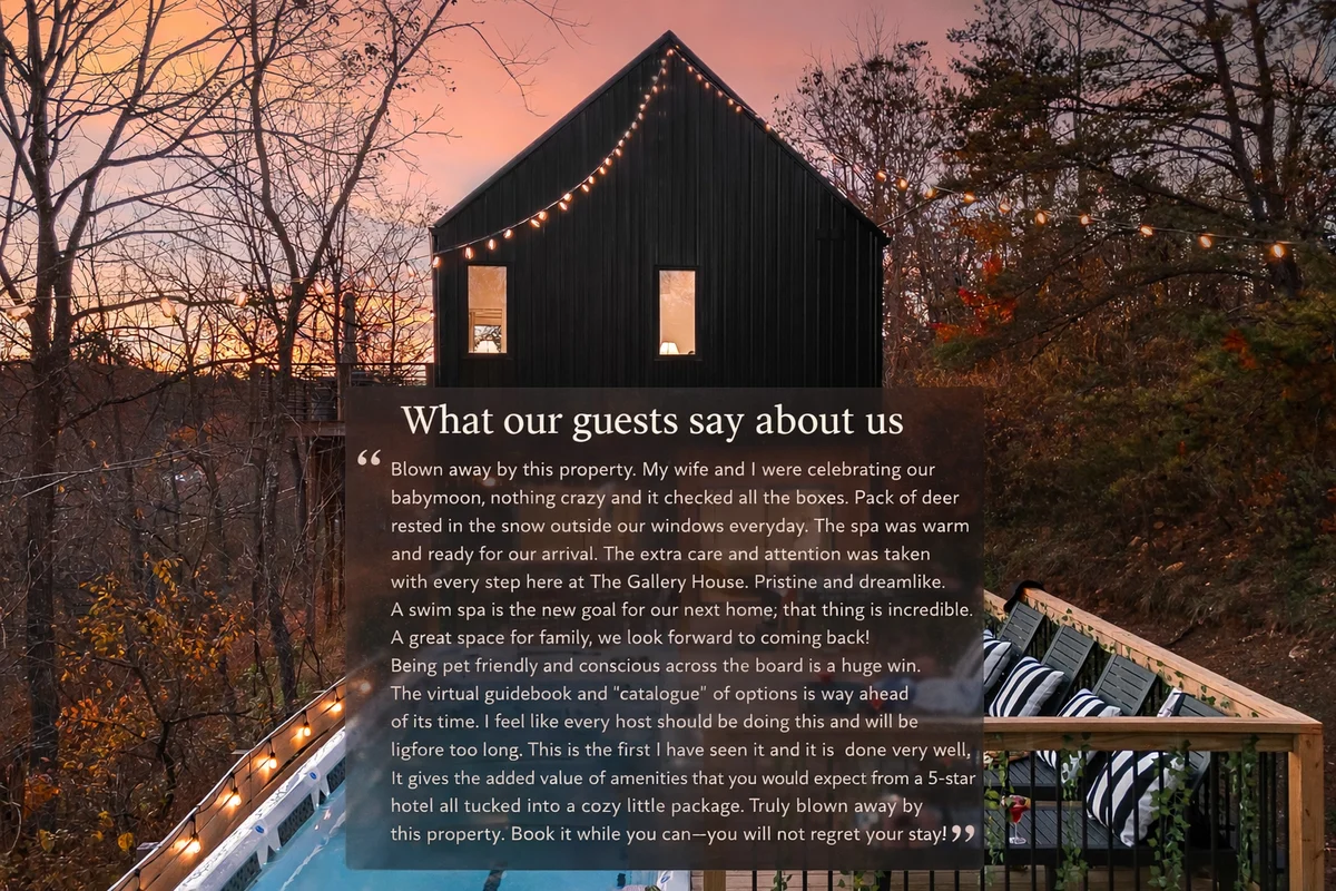 Heated Pool + Hot Tub + Cold Plunge • Asheville Spa Retreat • Gallery House #88