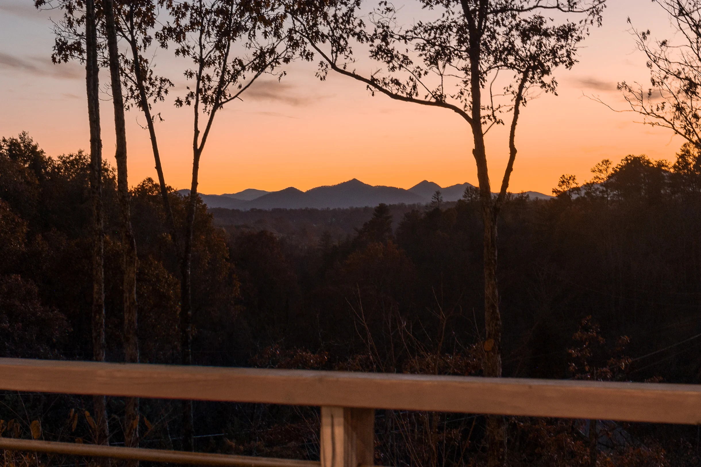 Heated Pool + Hot Tub + Cold Plunge • Asheville Spa Retreat • Gallery House #80