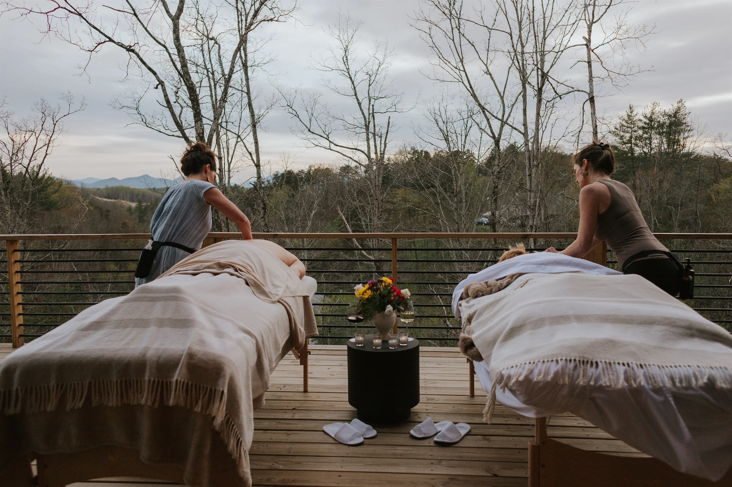 Heated Pool + Hot Tub + Cold Plunge • Asheville Spa Retreat • Gallery House #64