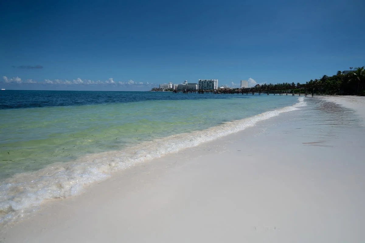 Wander Cancun Palms #119