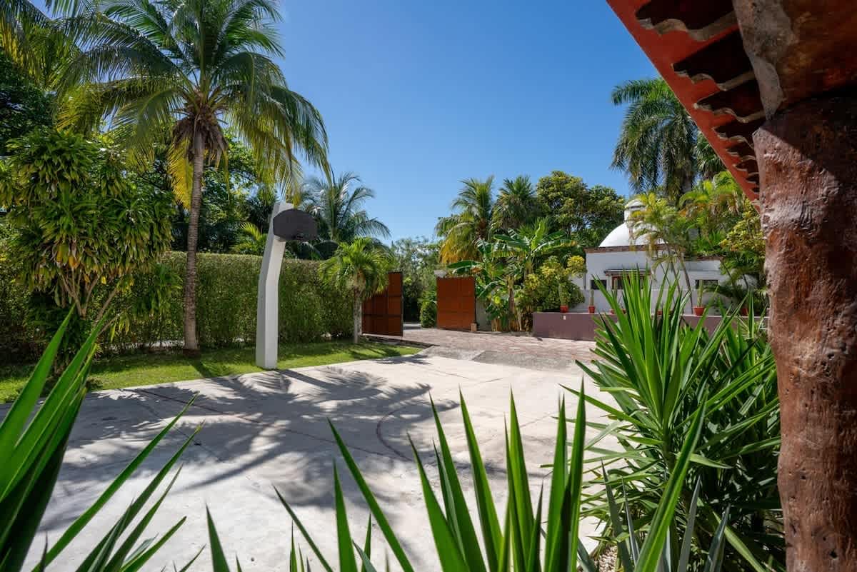 Wander Cancun Palms #109