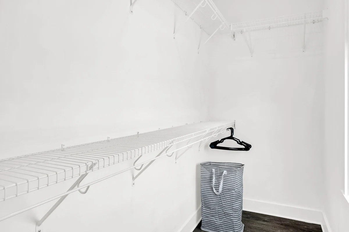 The Orchid #71