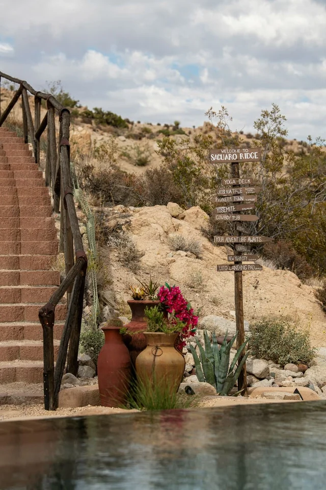 Tecuya - Saguaro Ridge #66