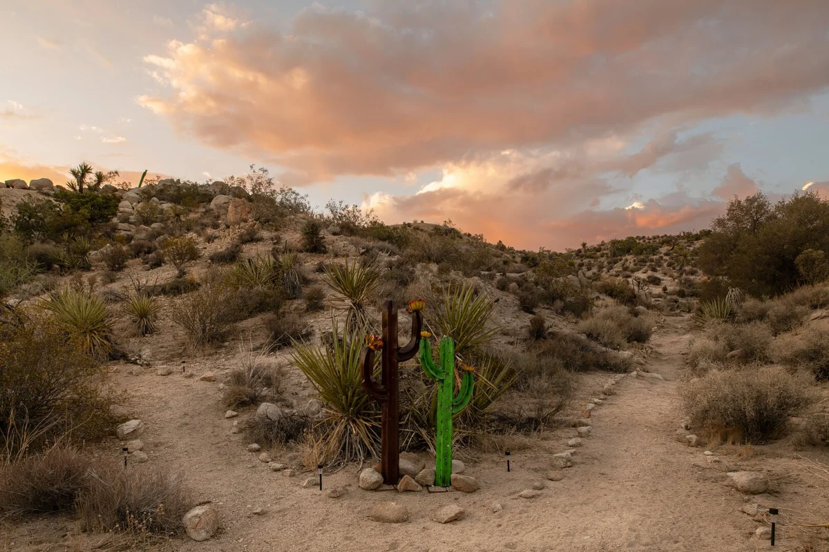 Tecuya - Saguaro Ridge #130