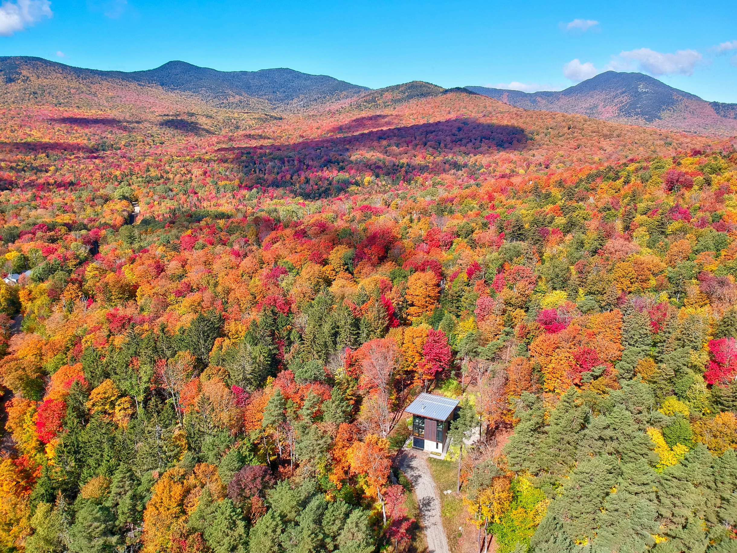 Sterling Treehouse #78