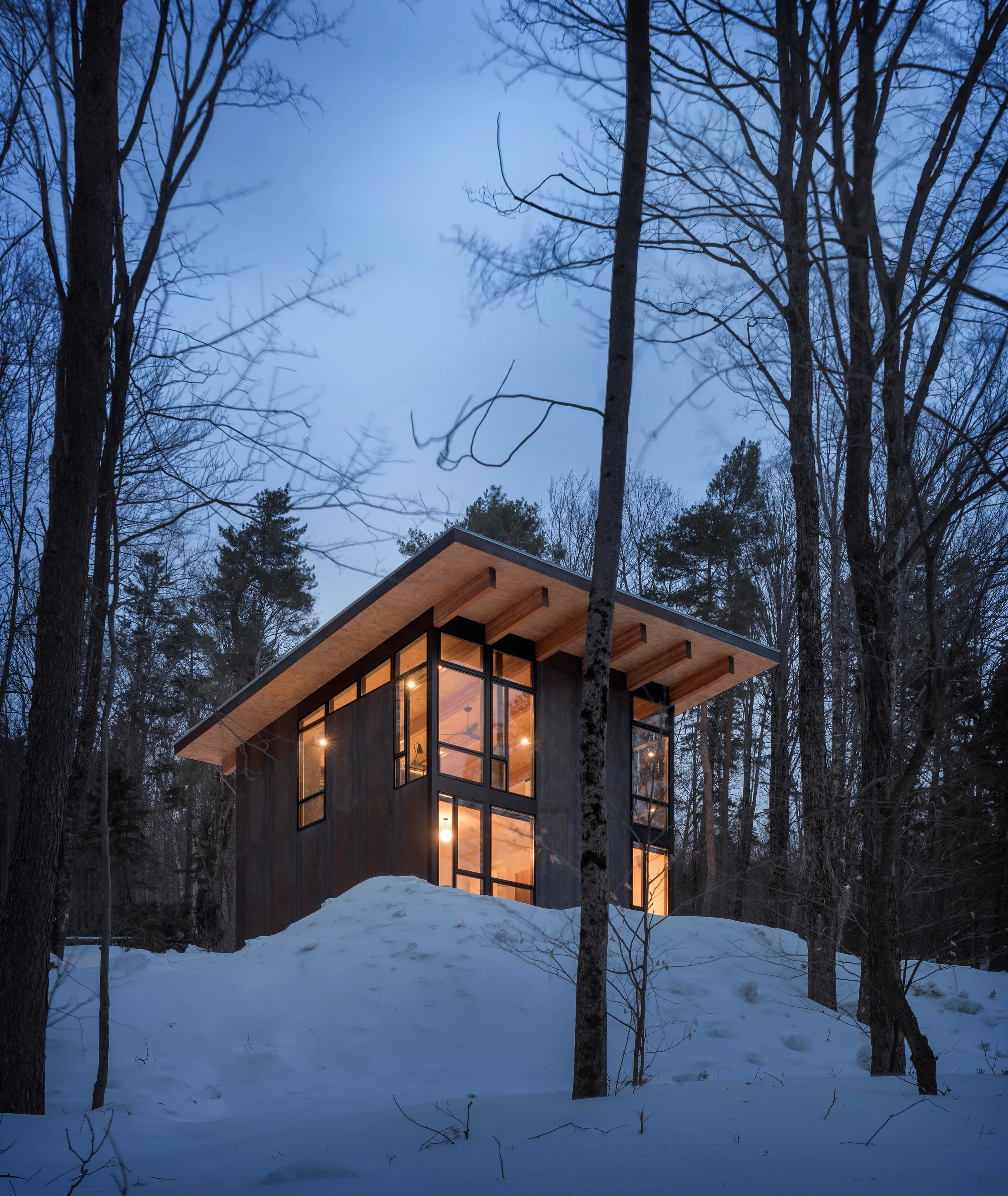 Sterling Treehouse #81