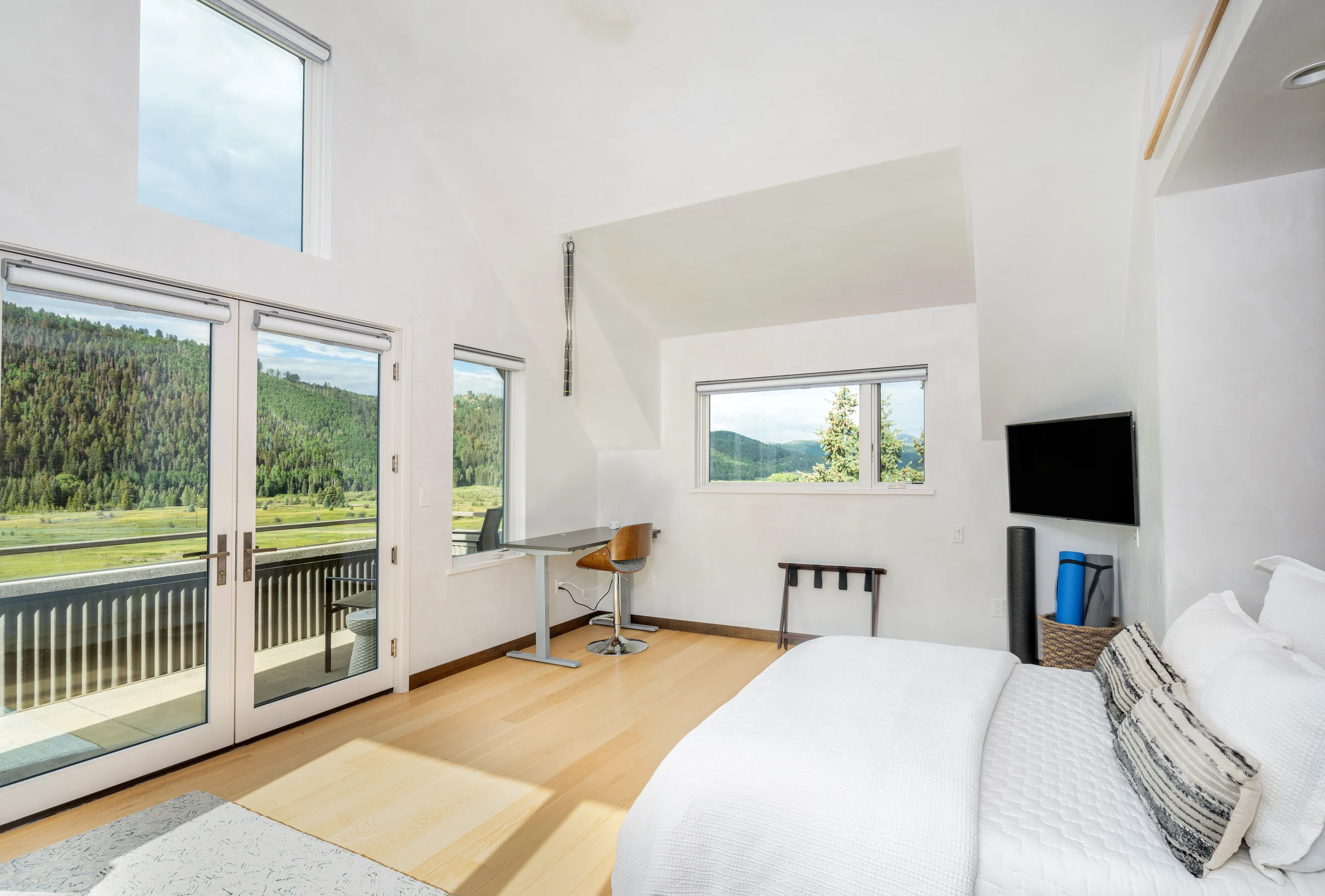 Telluride Sunset Ridge Home #37
