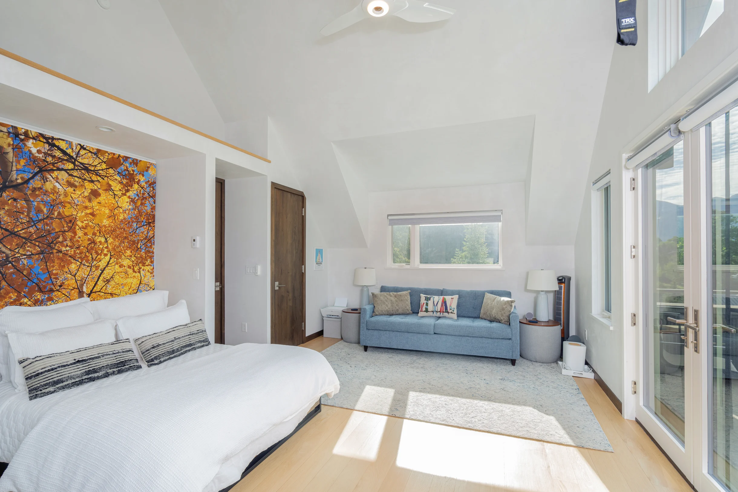 Telluride Sunset Ridge Home #40