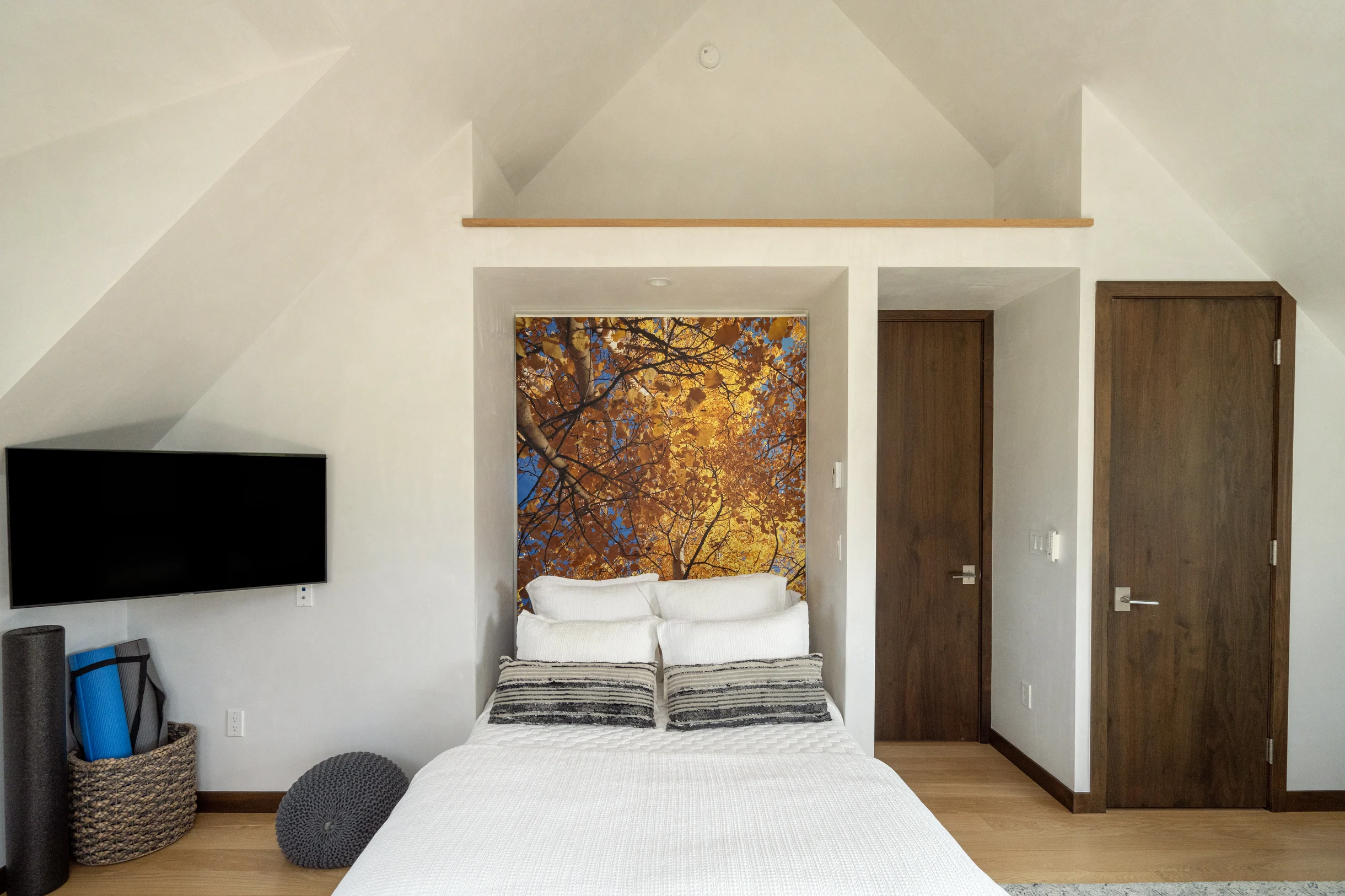 Telluride Sunset Ridge Home #49
