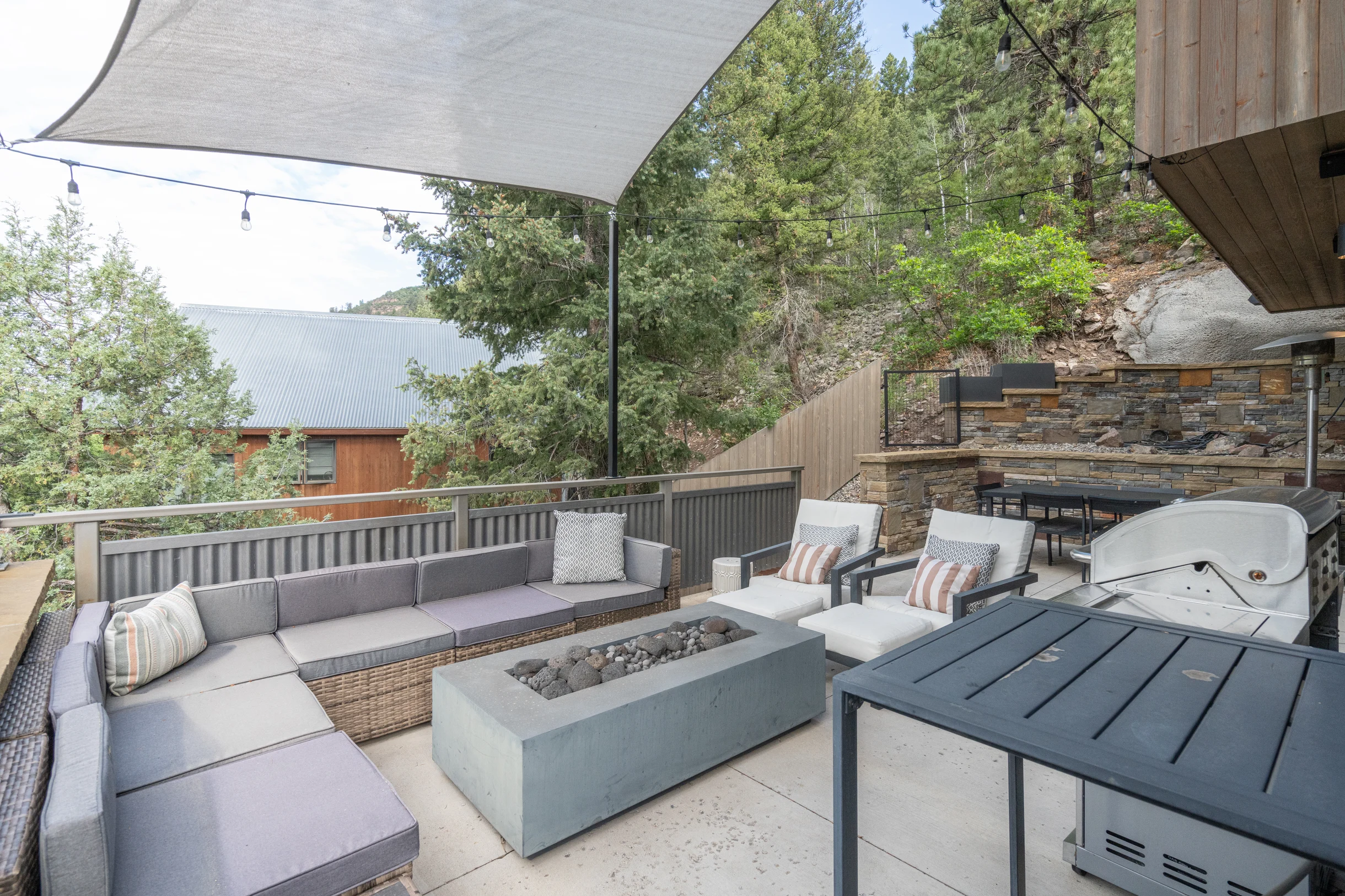 Telluride Sunset Ridge Home #36