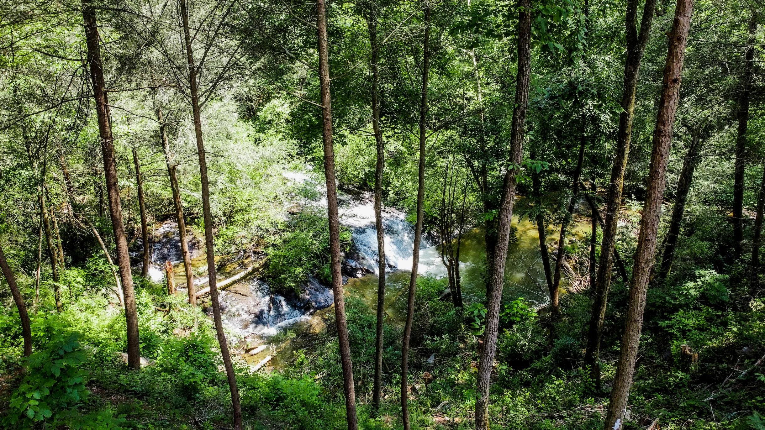 Watersong Falls #118