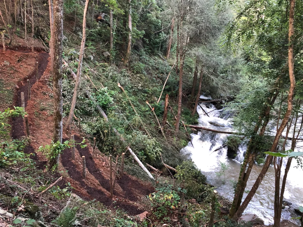 Watersong Falls #55