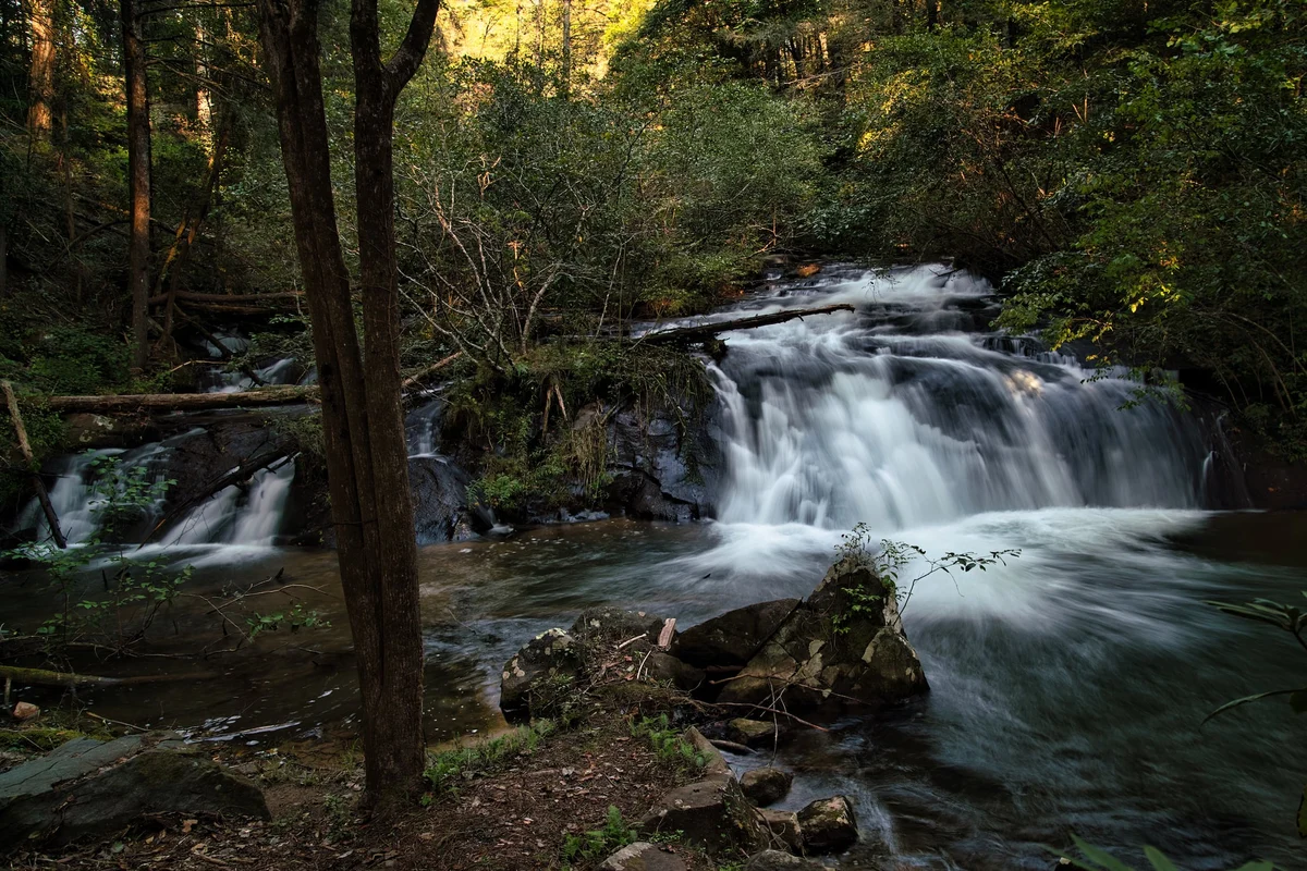 Watersong Falls #81