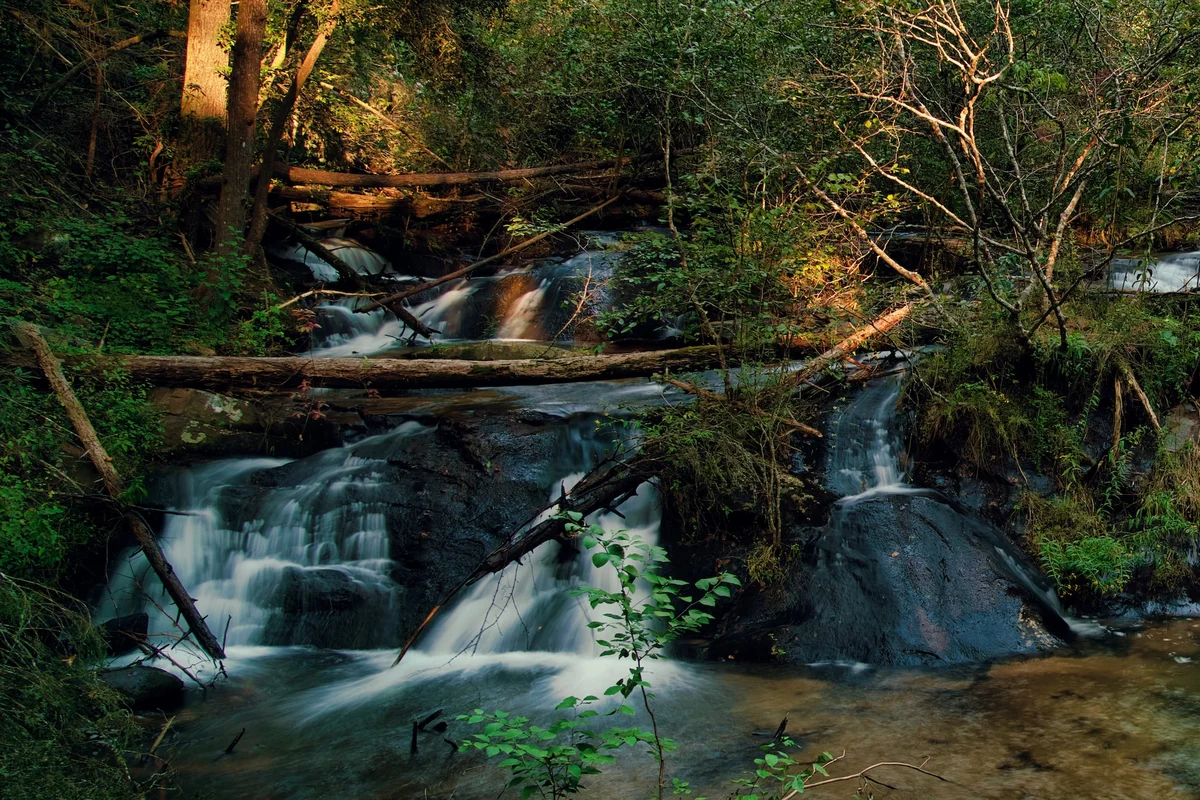 Watersong Falls #69