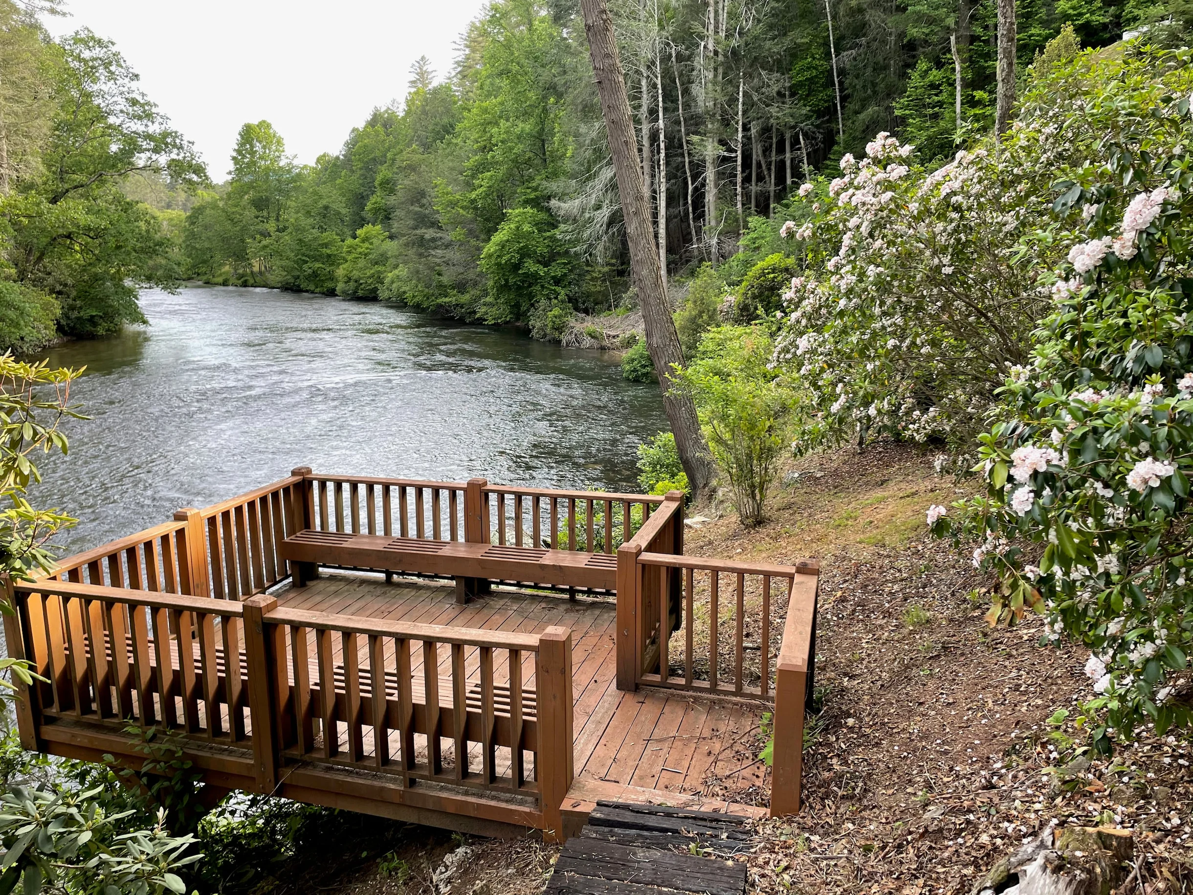Toccoa Riverside Retreat #67