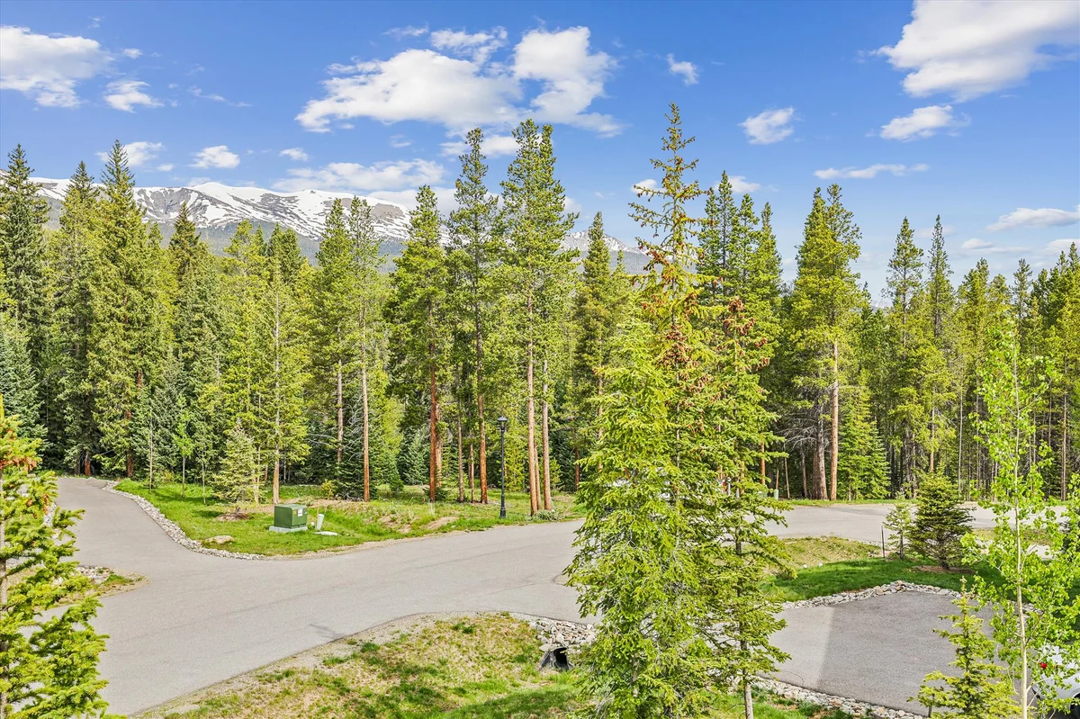 Chateau Breck #87