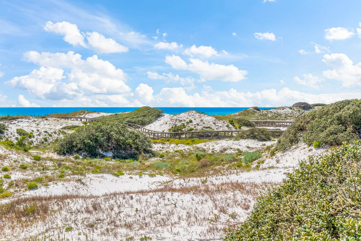 Grateful Tide #90