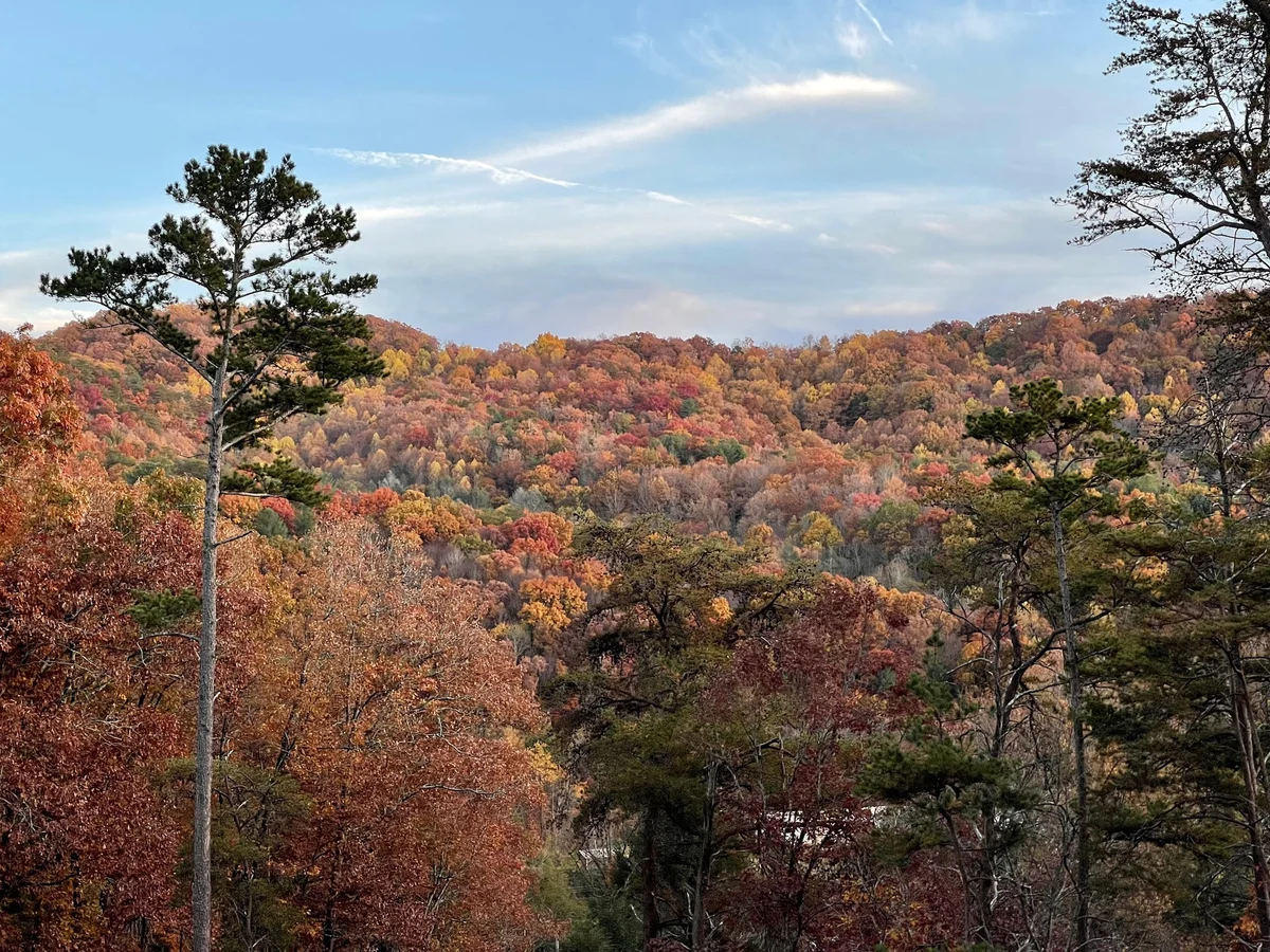 Weaver Creek Lodge #56