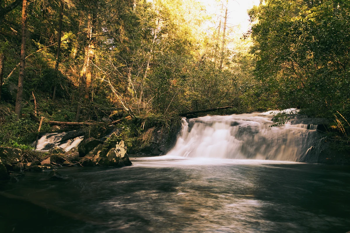 Falls Watch #72